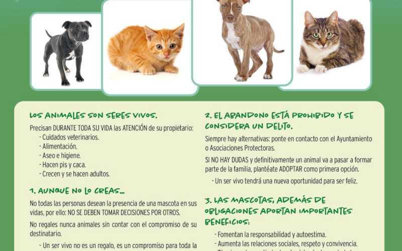 Alcalá – Consiliul Local Alcalá reamintește importanța proprietății responsabile în adopția animalelor