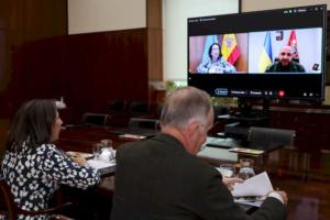 ministrul-apararii-poarta-o-conversatie-de-lucru-cu-omologul-sau-ucrainean,-rustem-umerov