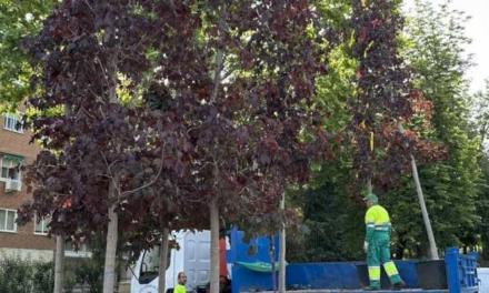 Arganda – Plantarea de copaci în parcul González Bueno din Arganda