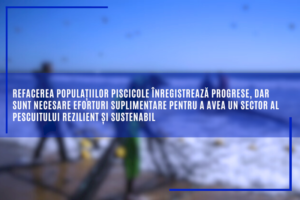 refacerea-populatiilor-piscicole-inregistreaza-progrese,-dar-sunt-necesare-eforturi-suplimentare-pentru-a-avea-un-sector-al-pescuitului-rezilient-si-sustenabil