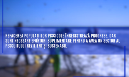 Refacerea populațiilor piscicole înregistrează progrese, dar sunt necesare eforturi suplimentare pentru a avea un sector al pescuitului rezilient și sustenabil