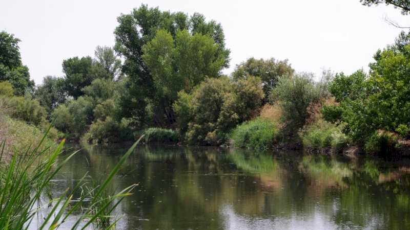 Comunitatea Madrid sărbătorește cea de-a 30-a aniversare a Parcului Regional de Sud-Est, conservând biodiversitatea importantă a acestuia.