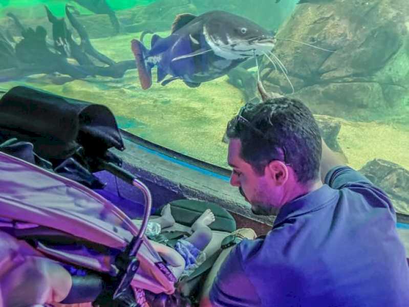 Torrejón – Zilele speciale Torrejón de Ardoz continuă în acest weekend la Atlantis Aquarium cu reduceri mari la torrejón…