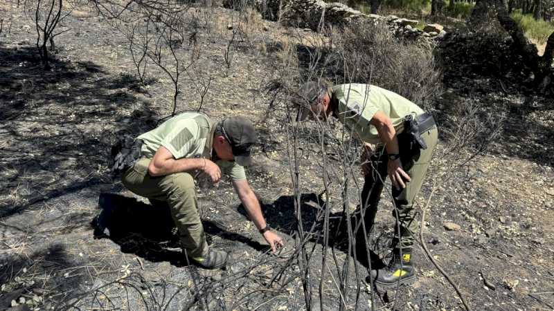 Comunitatea Madrid a clarificat cauza a 82% din incendiile forestiere înregistrate în regiune în 2023