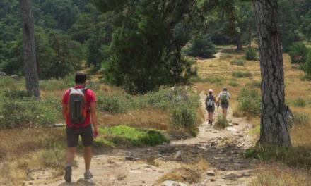 Comunitatea Madrid lansează patru noi Rute Verzi pentru a vă bucura de natura și istoria regiunii