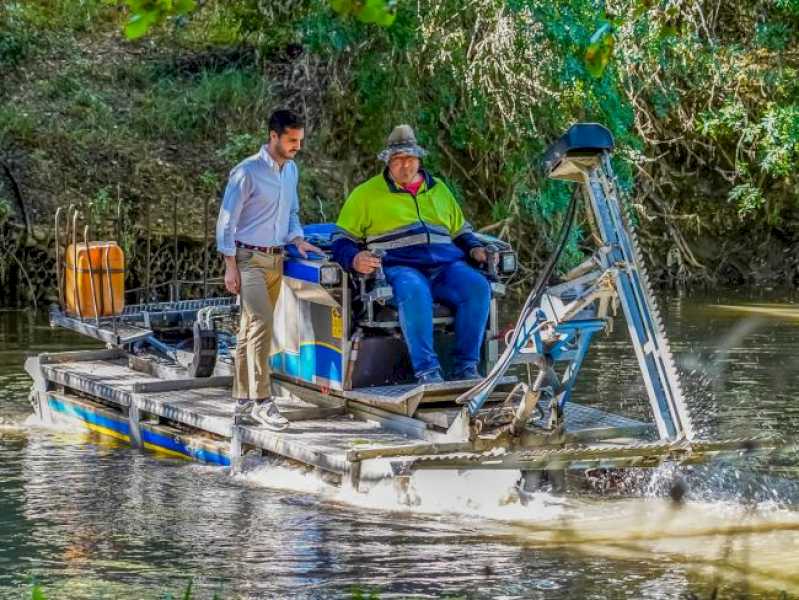 Torrejón – Din nou, barca amfibie a Consiliului Local Torrejón de Ardoz lucrează pe râul Henares, îndepărtând plante acvatice…