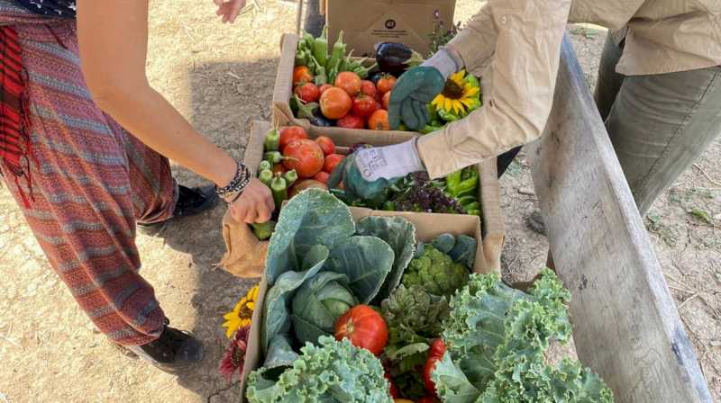 Comunitatea Madrid își deschide laboratorul agricol în Aranjuez pentru a prezenta bogăția produselor sale de grădină