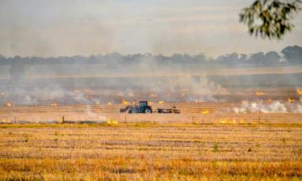 Comunitatea Madrid apare ca acuzare privată în dosarul împotriva presupusului autor al mai multor incendii forestiere în această vară