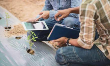 Díaz Ayuso propune un nou ajutor pentru digitalizarea sectorului primar și pentru a facilita schimbarea generațională în mediul rural madrilen