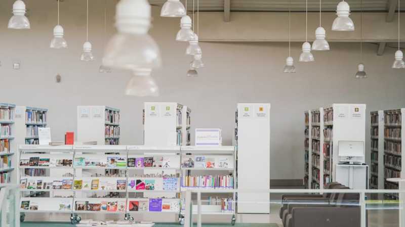 Comunitatea Madrid programează o gamă largă de ateliere pentru copii în bibliotecile sale publice în următorul trimestru