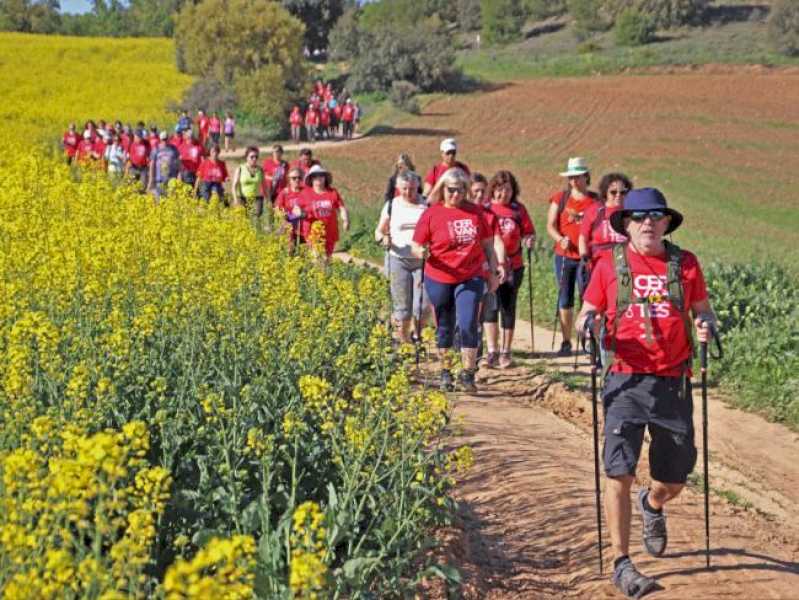 Torrejón – Revine popularul Camino de Cervantes, a cărui primă etapă începe duminică, 29 septembrie, cu o plimbare care va pleca din…