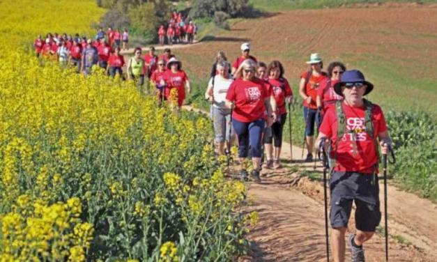 Torrejón – Revine popularul Camino de Cervantes, a cărui primă etapă începe duminică, 29 septembrie, cu o plimbare care va pleca din…