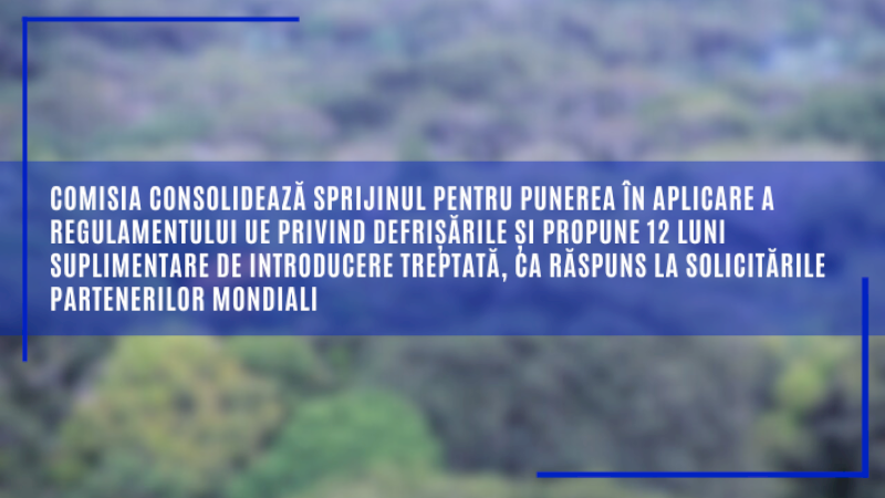 Comisia consolidează sprijinul pentru punerea în aplicare a Regulamentului UE privind defrișările și propune 12 luni suplimentare de introducere treptată