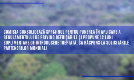 Comisia consolidează sprijinul pentru punerea în aplicare a Regulamentului UE privind defrișările și propune 12 luni suplimentare de introducere treptată