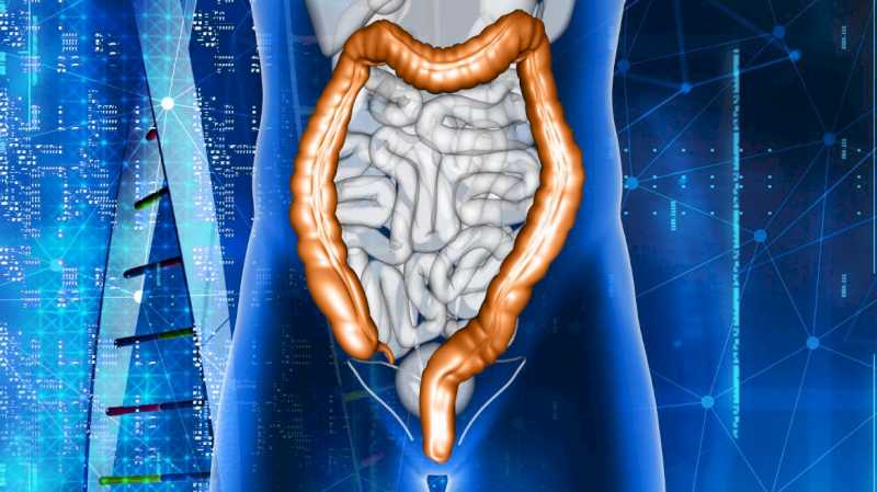 Spitalul public din La Princesa organizează întâlnirea anuală a Grupului de Coloproctologie din Madrid și Zona Centrală