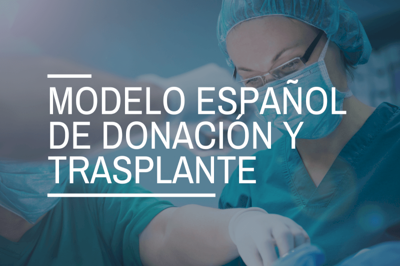 Modelul spaniol de transplant: funcționarea și cheile liderului său global