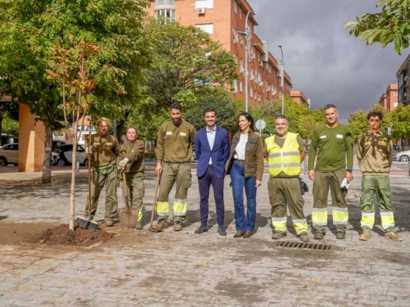 Torrejón – Hoy, 21 de octubre, último día para poder inscribirse en el acto de la plantación de árboles con motivo del Día Internacional Co…