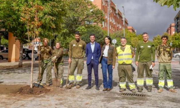 Torrejón – Hoy, 21 de octubre, último día para poder inscribirse en el acto de la plantación de árboles con motivo del Día Internacional Co…