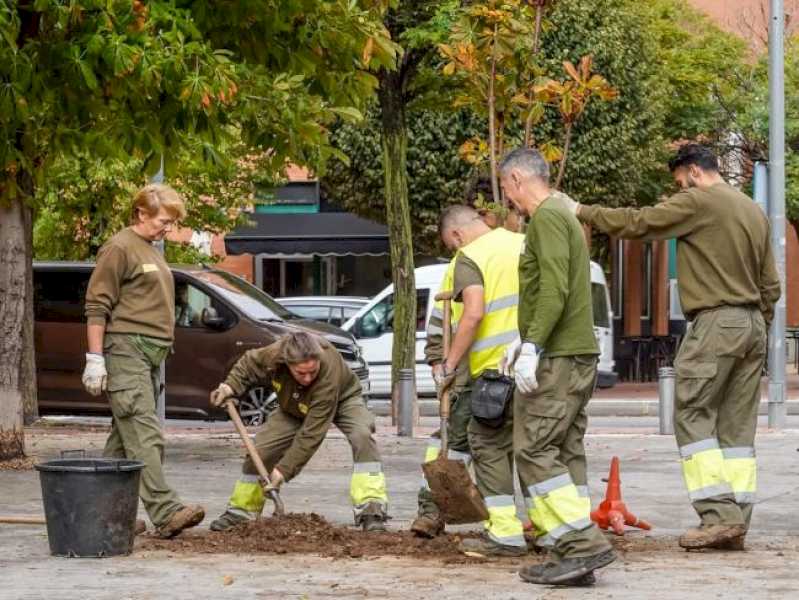 Torrejón – Mañana sábado, 26 de octubre, se llevará a cabo la plantación de 120 nuevos árboles en la avenida Unión Europea con motivo del D…