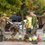 Torrejón – Mañana sábado, 26 de octubre, se llevará a cabo la plantación de 120 nuevos árboles en la avenida Unión Europea con motivo del D…