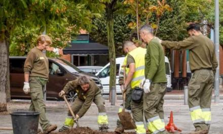 Torrejón – Mañana sábado, 26 de octubre, se llevará a cabo la plantación de 120 nuevos árboles en la avenida Unión Europea con motivo del D…