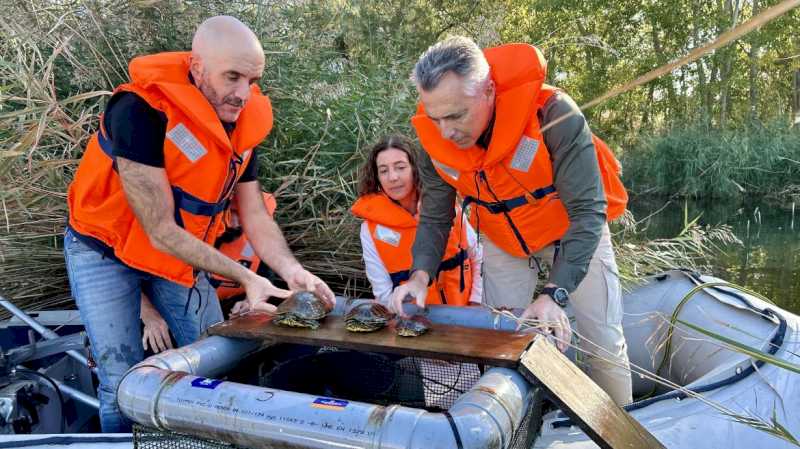 La Comunidad de Madrid retira más de 400 ejemplares de especies invasoras del Parque Regional del Sureste