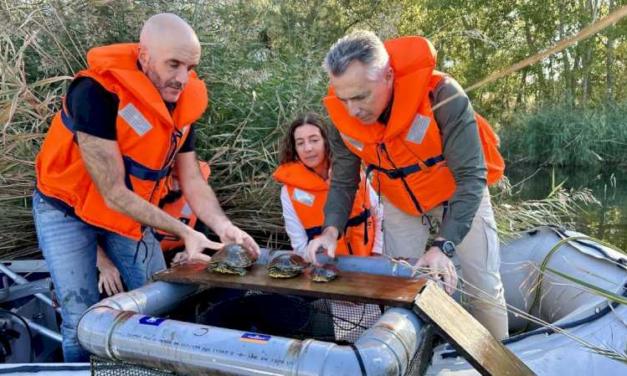 La Comunidad de Madrid retira más de 400 ejemplares de especies invasoras del Parque Regional del Sureste