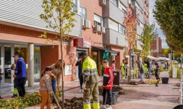 Torrejón – Cerca de 350 vecinos y asociaciones de la ciudad participaron en la plantación de nuevos árboles en la avenida Unión Europea con…