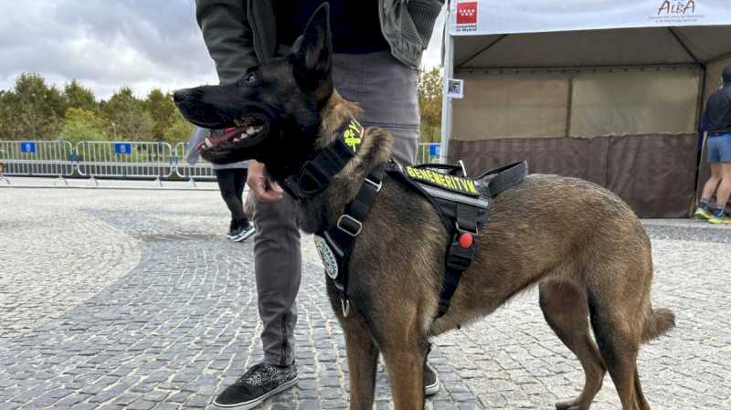 La Comunidad de Madrid duplica los nuevos hogares para animales de compañía en su XIX Salón de la Adopción