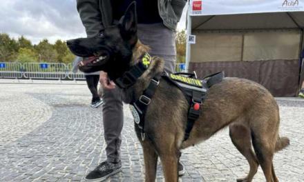 La Comunidad de Madrid duplica los nuevos hogares para animales de compañía en su XIX Salón de la Adopción