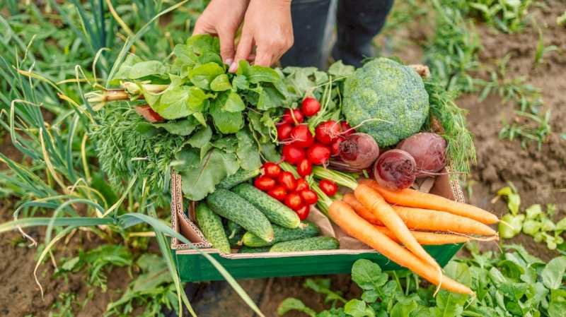 La Comunidad de Madrid exhibe en BioCultura 2024 su oferta de alimentos ecológicos con actividades, catas y talleres familiares