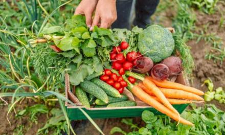 La Comunidad de Madrid exhibe en BioCultura 2024 su oferta de alimentos ecológicos con actividades, catas y talleres familiares