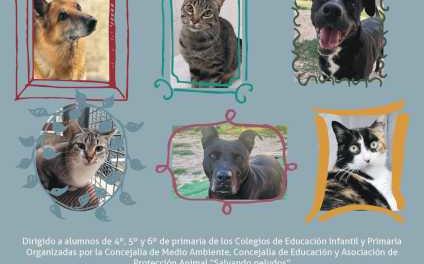 Alcalá – Alcalá pone en marcha jornadas informativas en los colegios para la tenencia responsable de animales y fomento de la adopción