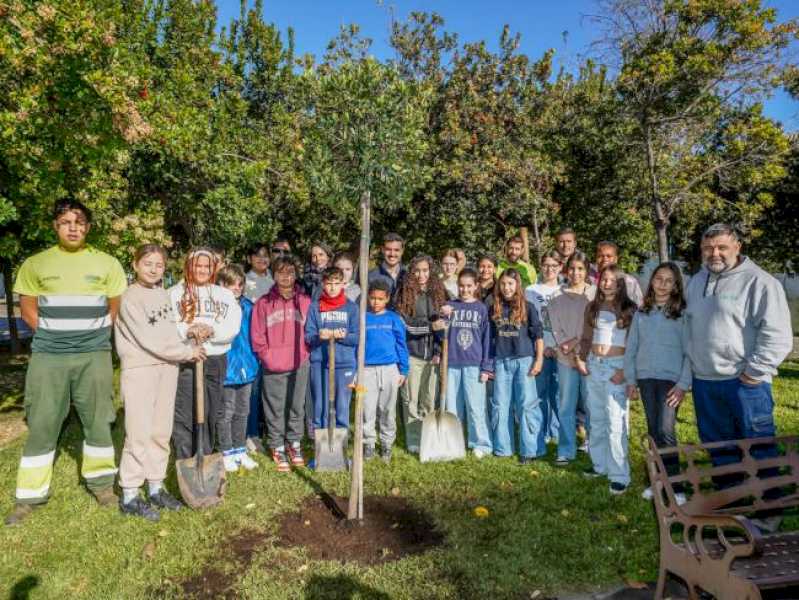 Torrejón – Un nuevo árbol en el Parque Constitución de Torrejón de Ardoz para conmemorar el 46 aniversario de la Constitución española que …