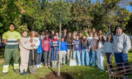 Torrejón – Un nuevo árbol en el Parque Constitución de Torrejón de Ardoz para conmemorar el 46 aniversario de la Constitución española que …