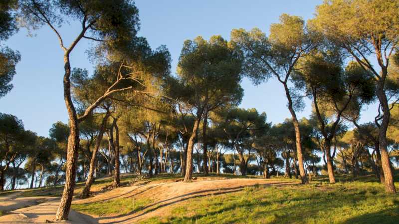 La Comunidad de Madrid declara BIC a la Dehesa de la Villa de la capital en la categoría de Paisaje Cultural