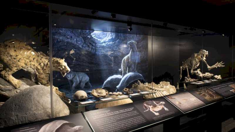 El Museo Arqueológico y Paleontológico de la Comunidad de Madrid organiza una mesa redonda para abordar el papel de la mujer en la paleontología