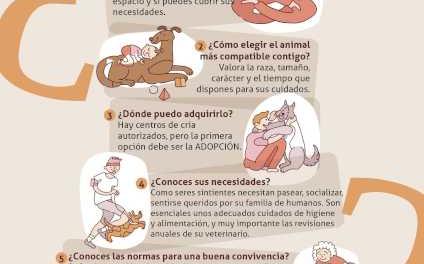 Alcalá – La Concejalía de Medio Ambiente llama a la tenencia responsable de mascotas esta Navidad