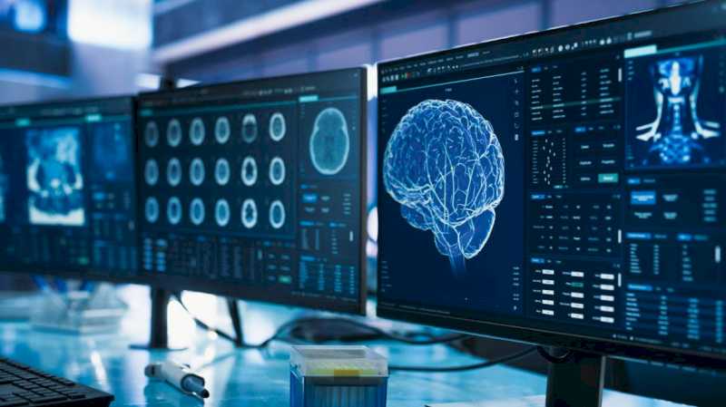 La Comunidad de Madrid crea el Consorcio Centro Nacional de Neurotecnología para el estudio del cerebro humano