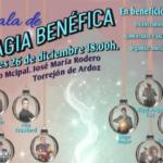 Torrejón – El Teatro Municipal José María Rodero acoge hoy, jueves, a las 18:00 horas, una Gala de Magia Benéfica de la Asociación PLATA (P…