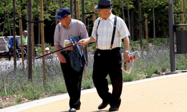 La Seguridad Social abona 10,3 millones de pensiones a 9,3 millones de pensionistas en diciembre