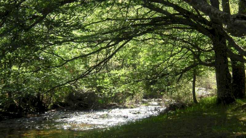 La Comunidad de Madrid organiza cerca de 200 actividades divulgativas gratuitas sobre la biodiversidad regional y su conservación