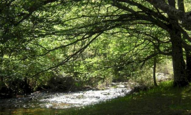 La Comunidad de Madrid organiza cerca de 200 actividades divulgativas gratuitas sobre la biodiversidad regional y su conservación