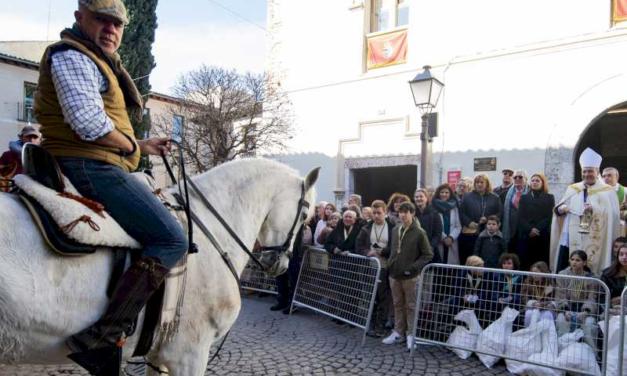 Alcalá – Este domingo 19 de enero vuelve la tradicional bendición de animales de San Antón a Alcalá