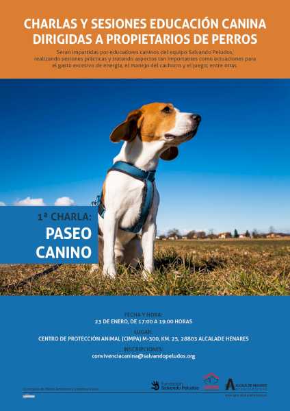 Alcalá – Comienzan las charlas y prácticas de educación canina en Alcalá de Henares