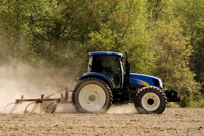 El Ministerio de Agricultura amplía hasta el 12 de febrero el plazo para comunicar daños por la DANA en la provincia de Valencia