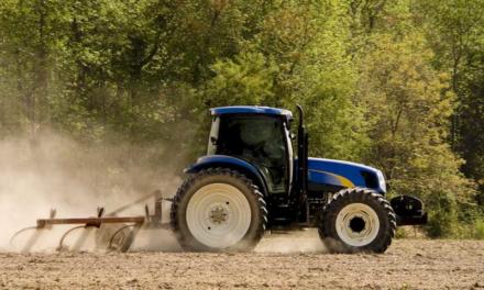 El Ministerio de Agricultura amplía hasta el 12 de febrero el plazo para comunicar daños por la DANA en la provincia de Valencia