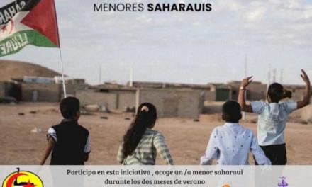 Torrejón – Torrejón de Ardoz busca familias solidarias para acoger niños saharauis durante el próximo verano