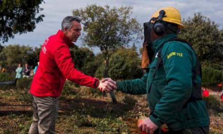 La Comunidad de Madrid adecuará este año un 28,6% más de superficie de sus montes para la prevención de incendios forestales