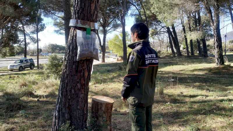 La Comunidad de Madrid controla la oruga procesionaria en más de 65.000 hectáreas de pinares